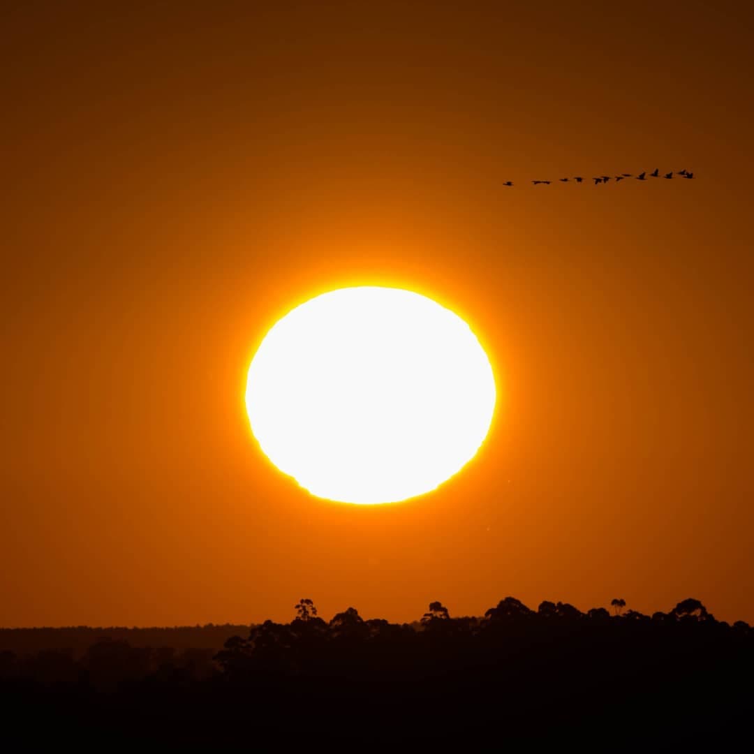 Porto Alegre
