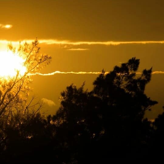 Porto Alegre