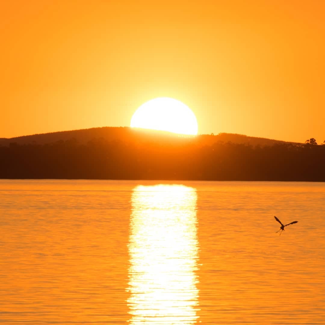 Porto Alegre
